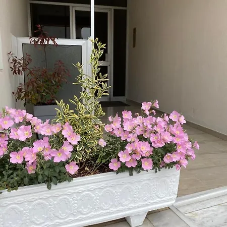 Apartment Meteora A *